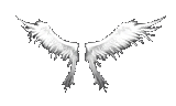 Wings of Heaven +9