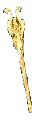Excellent Chrome Staff +15